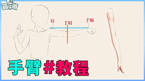 手臂彎曲畫法|【徹底剖析】人體手臂肌肉・骨骼・比例的正確繪製方法